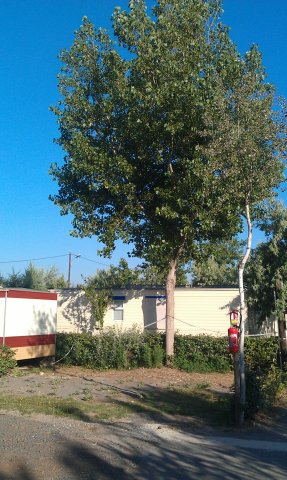 Parcelle J4